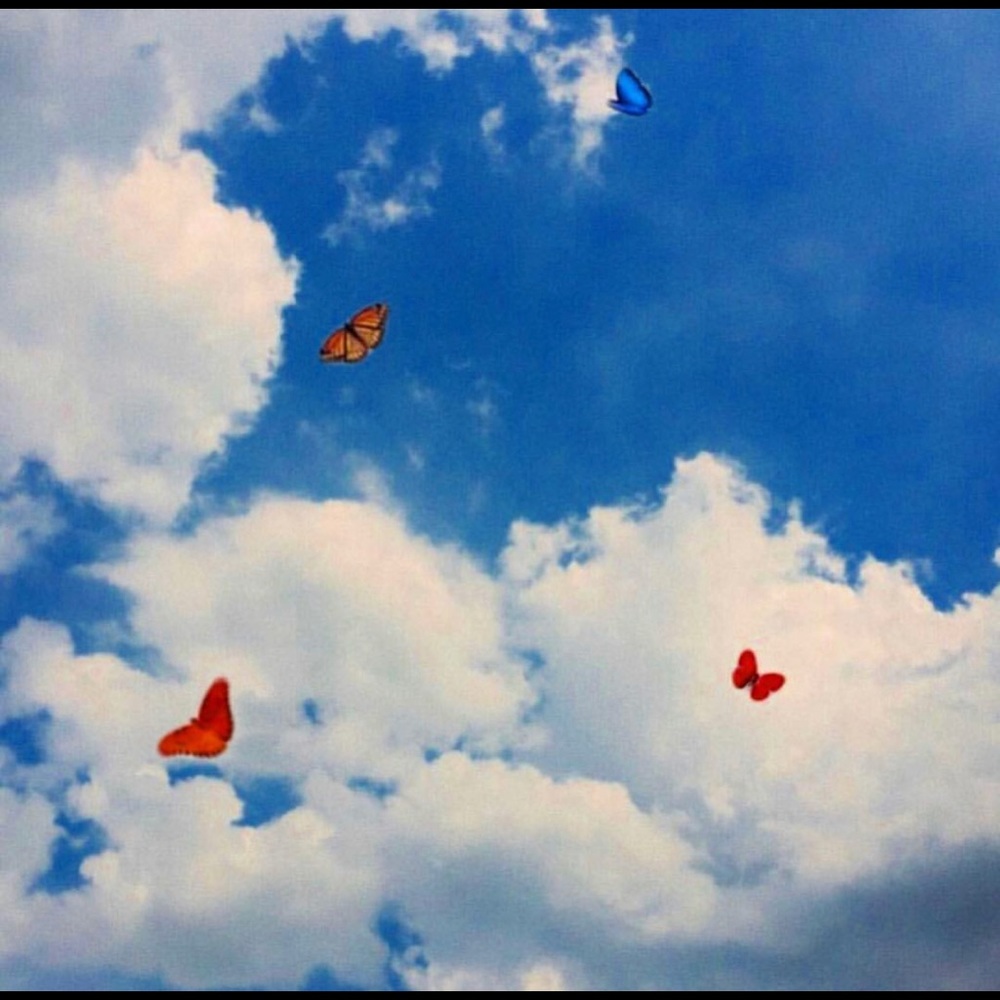 Meet your Posher, Andrea